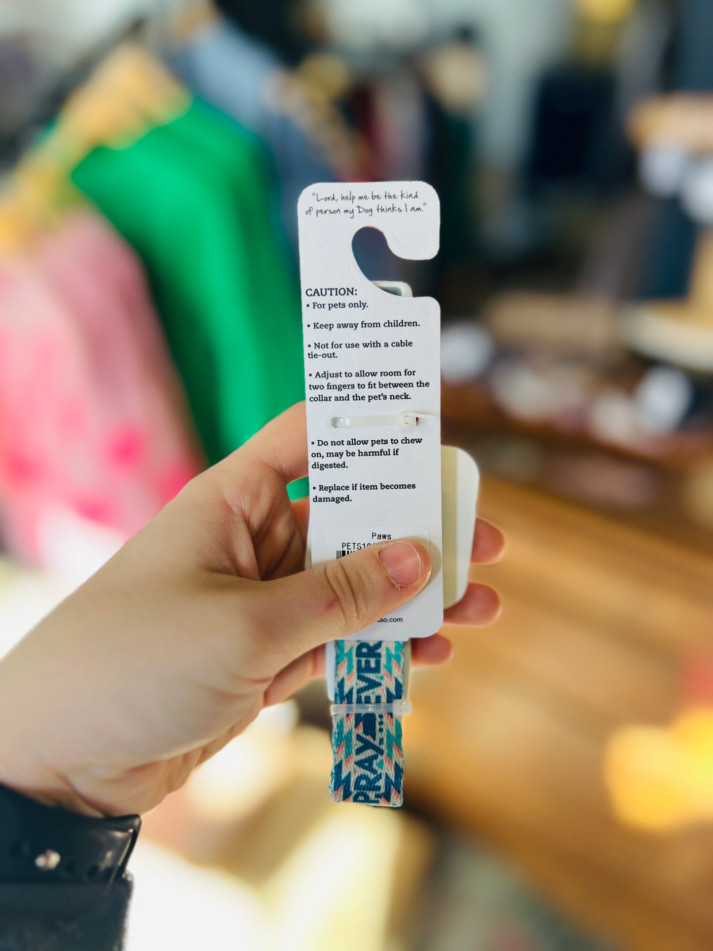 Paws & Pray | Pet Collar - Blue