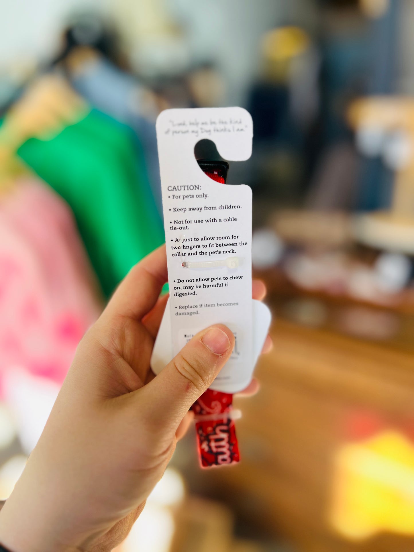 Walk By Faith | Pet Collar - Red