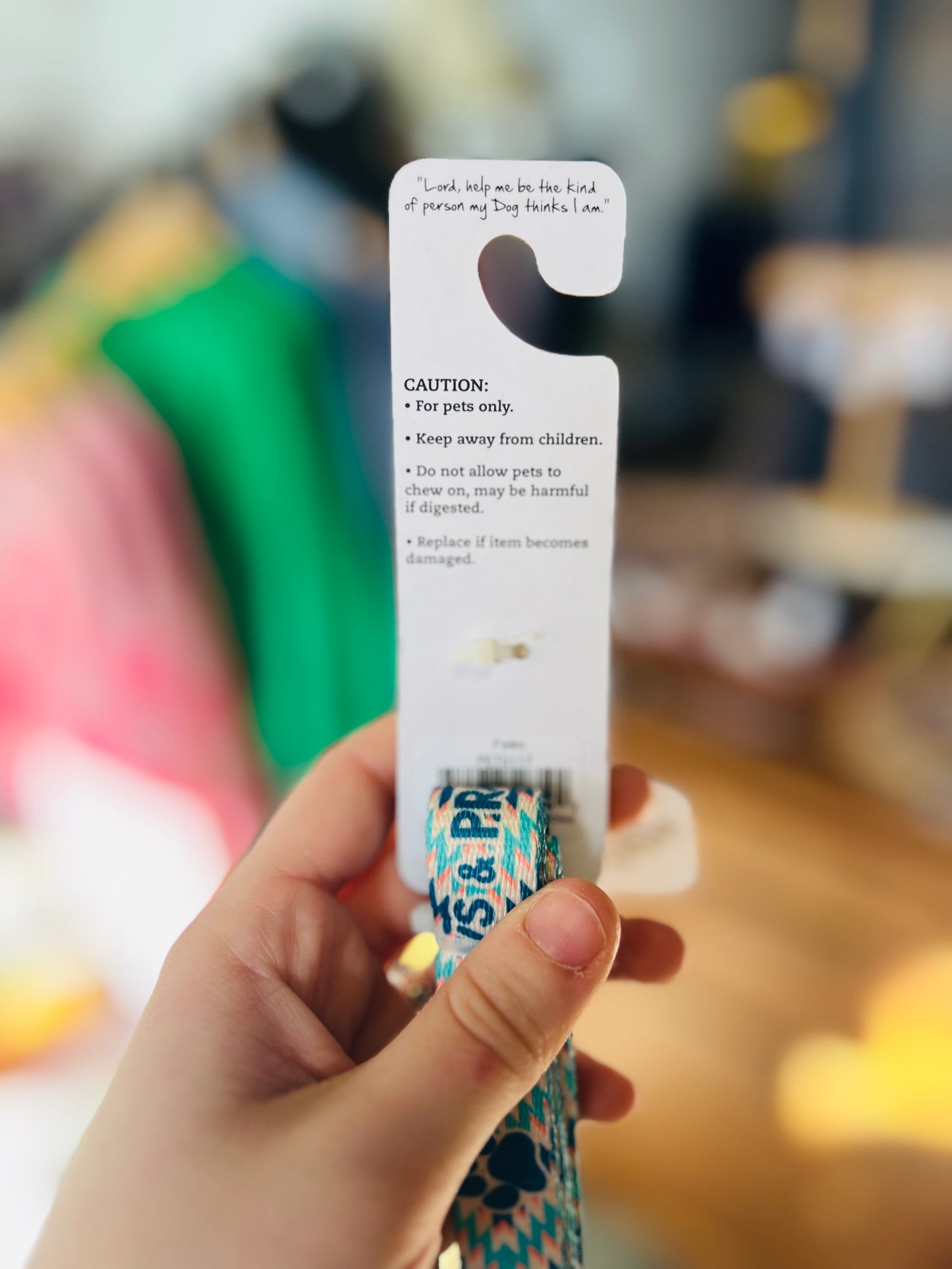 Paws & Pray | Pet Leash - Blue