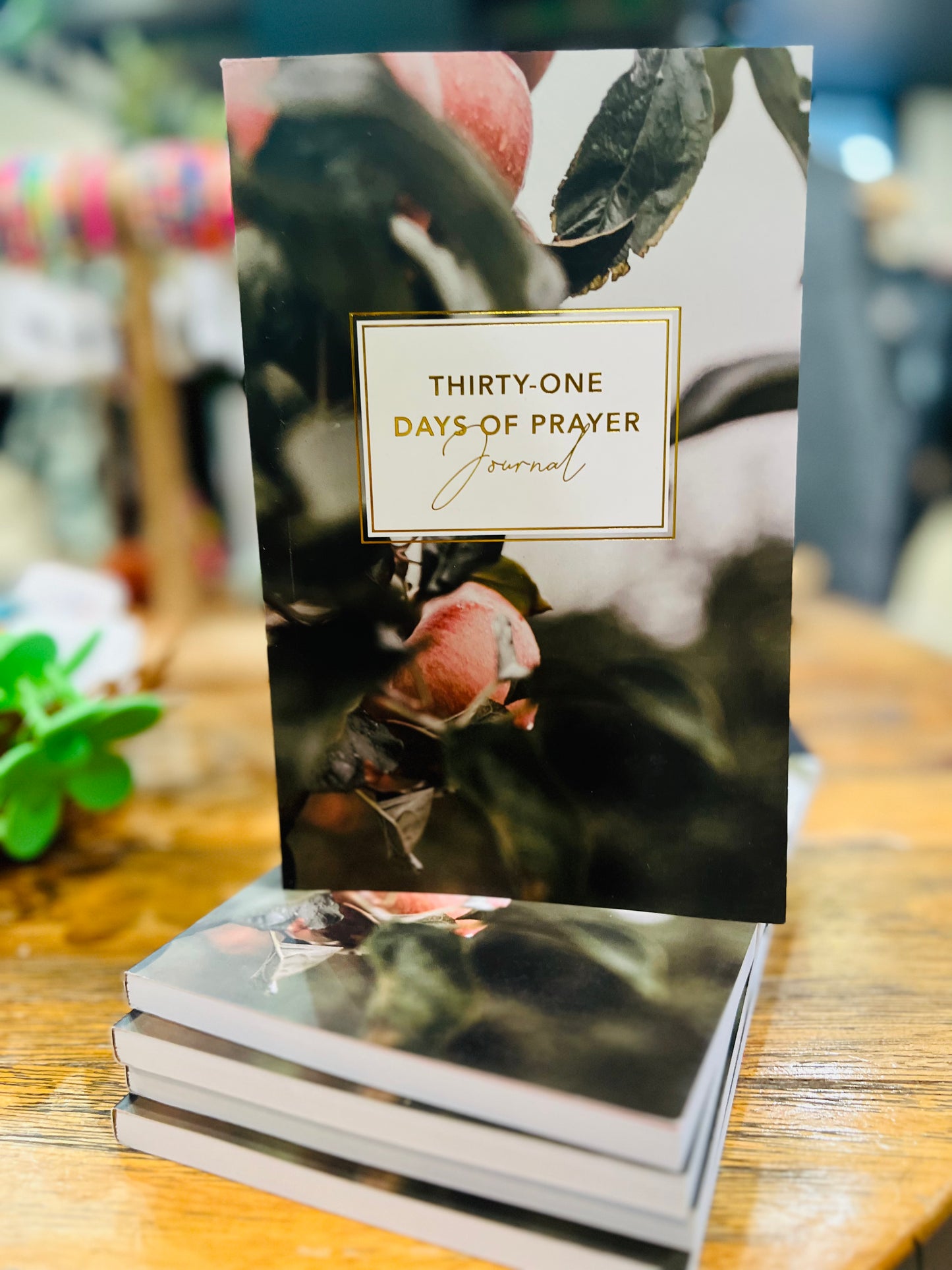 Thirty-One Days of Prayer Journal