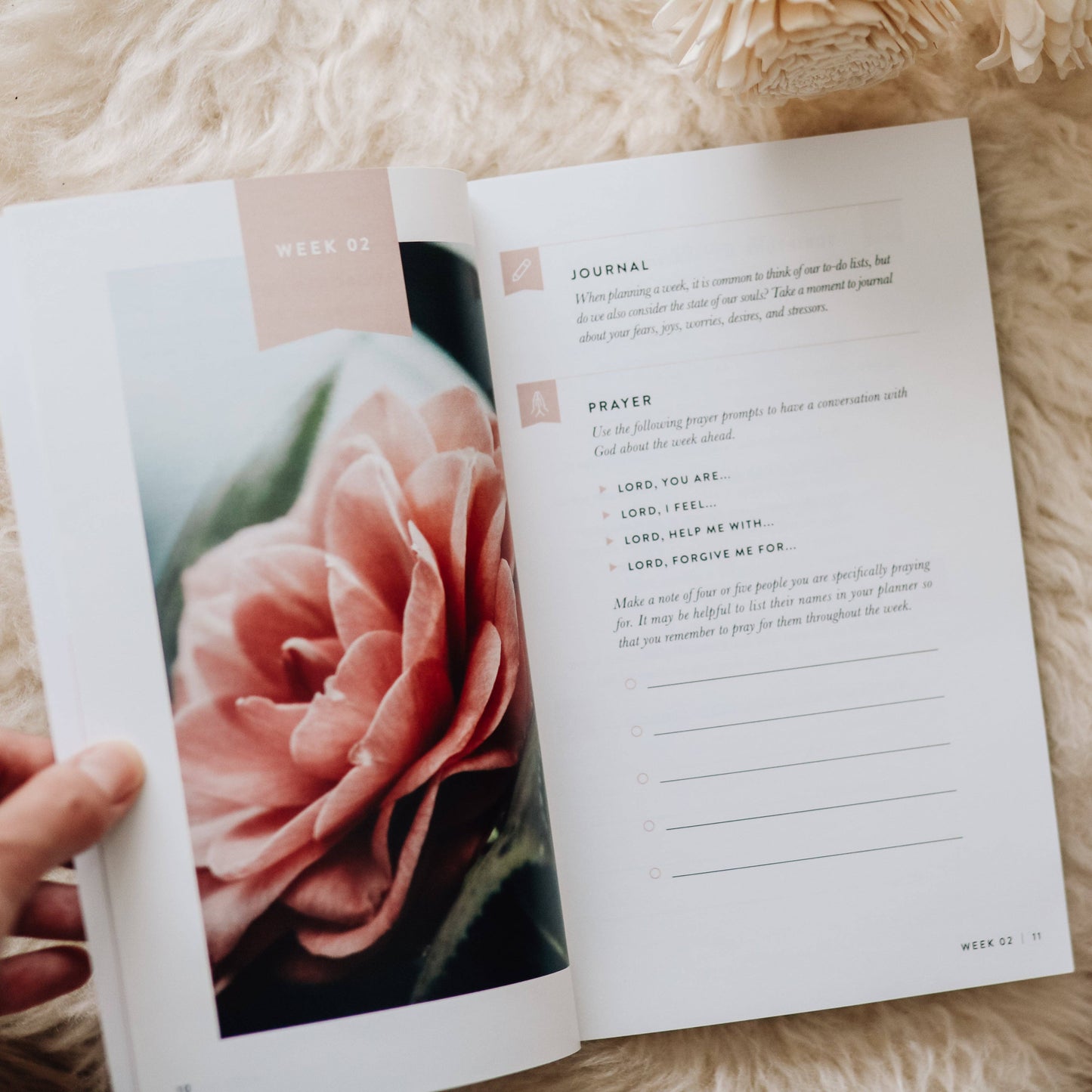 Fix Your Focus | Put God First