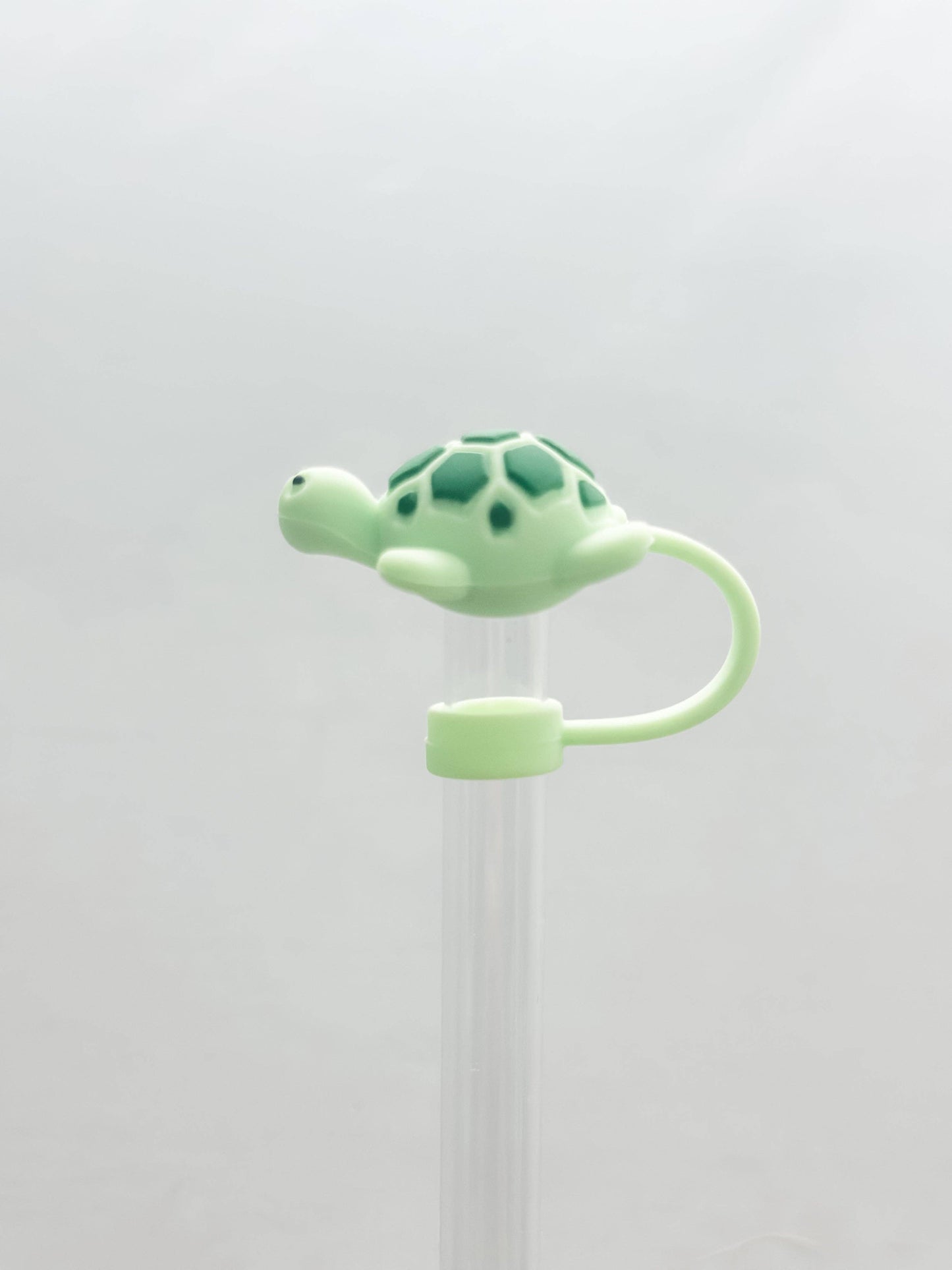 Turtle | Straw Cover
