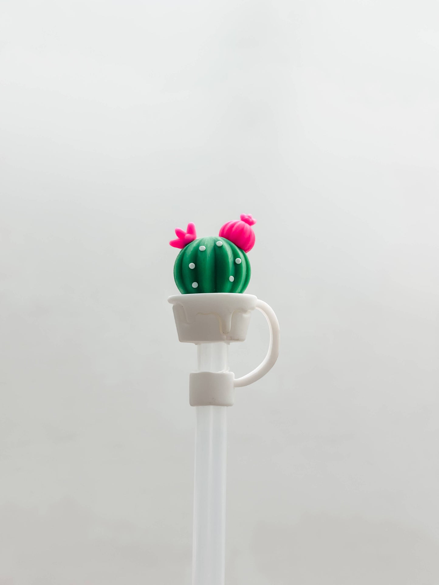 Pink Cactus | Straw Cover