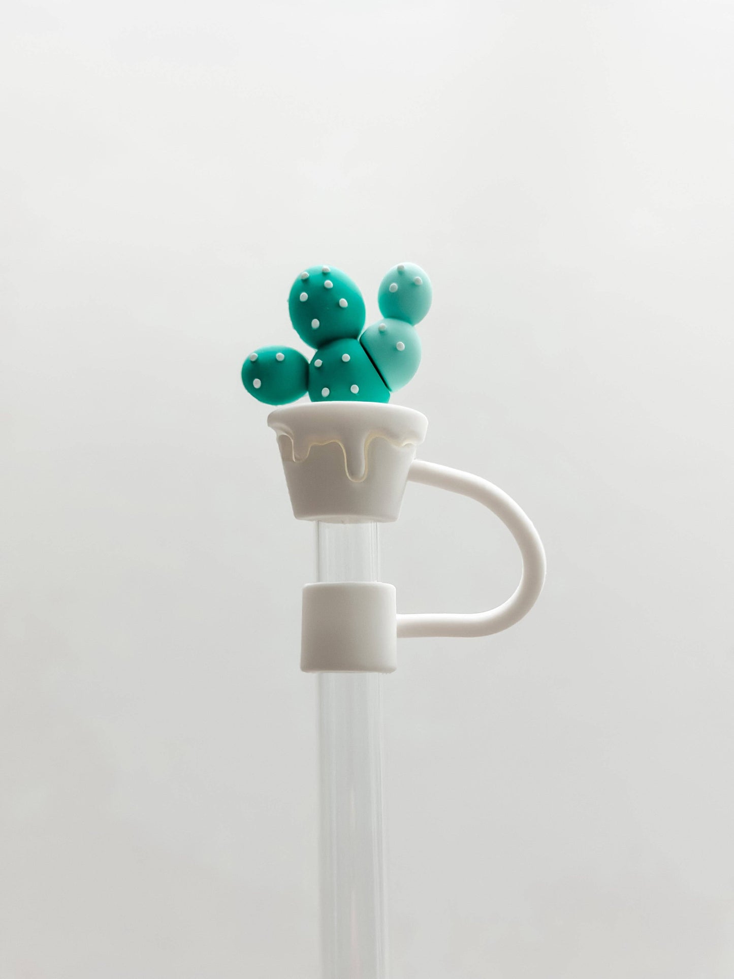 Green Cactus | Straw Cover